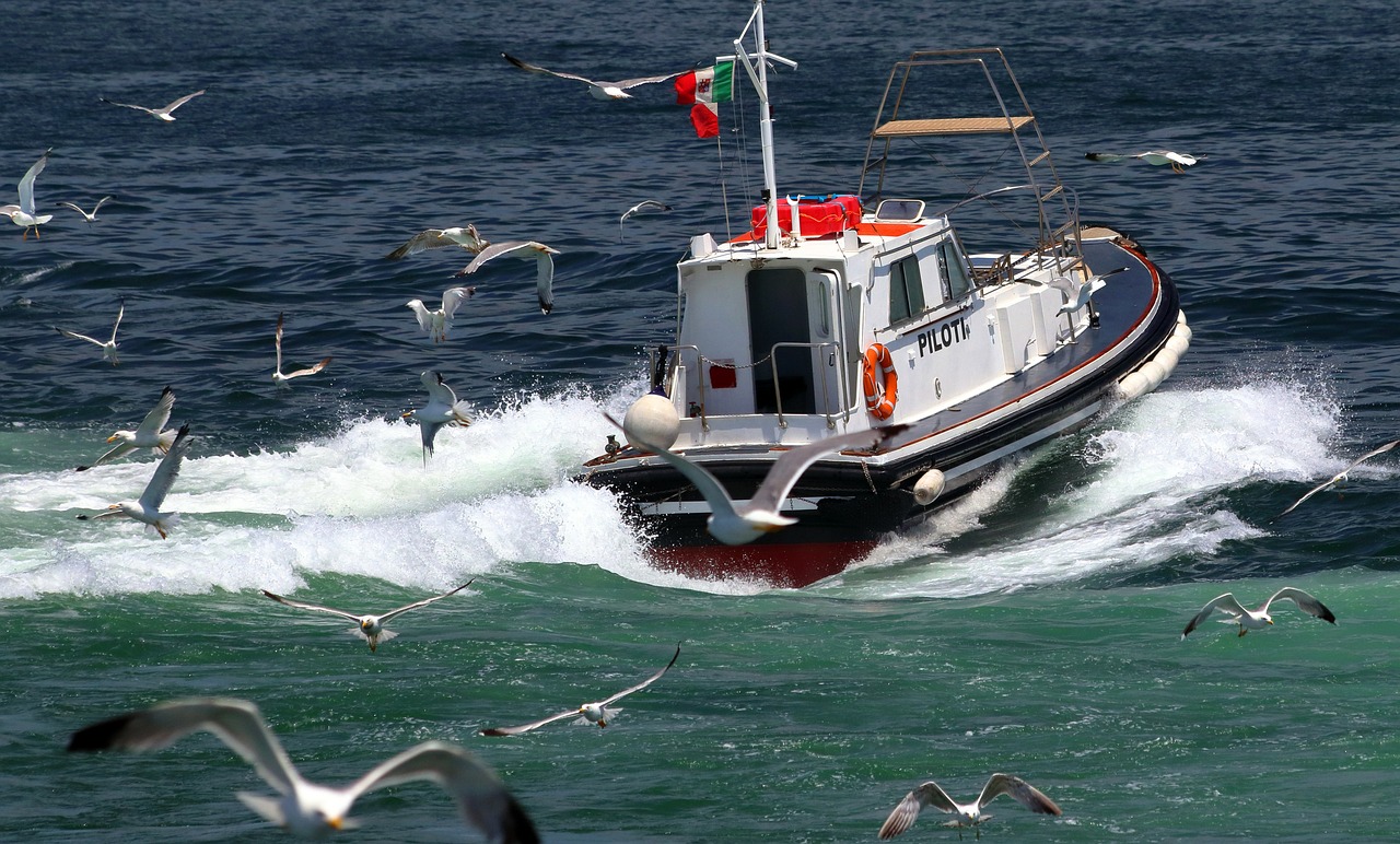 pilotos de barra