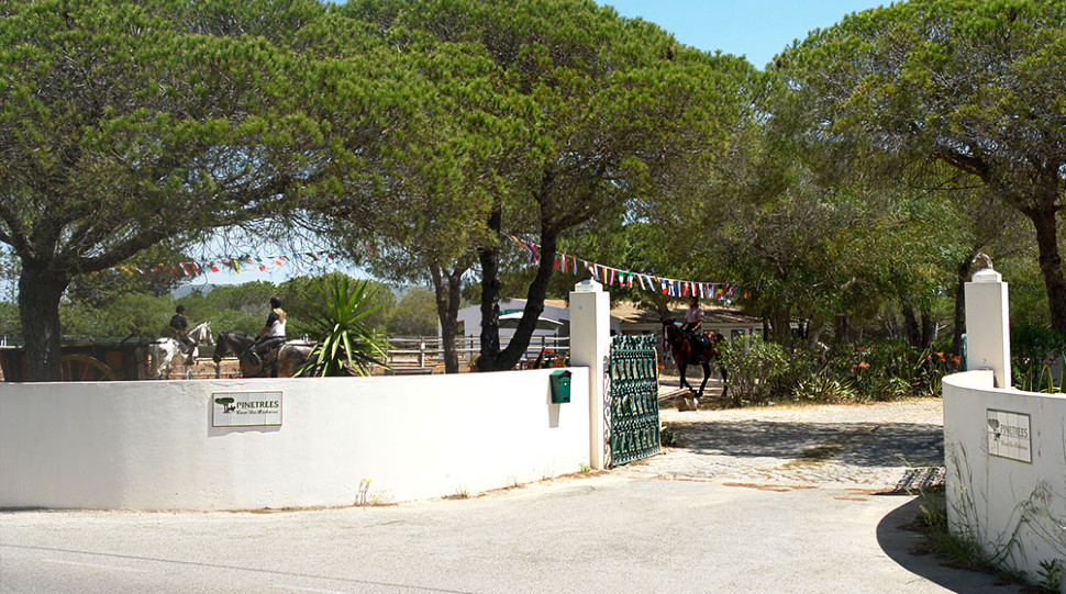 PinetressRidingCenter 1