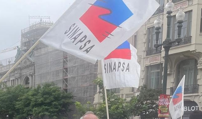 sinapsa1